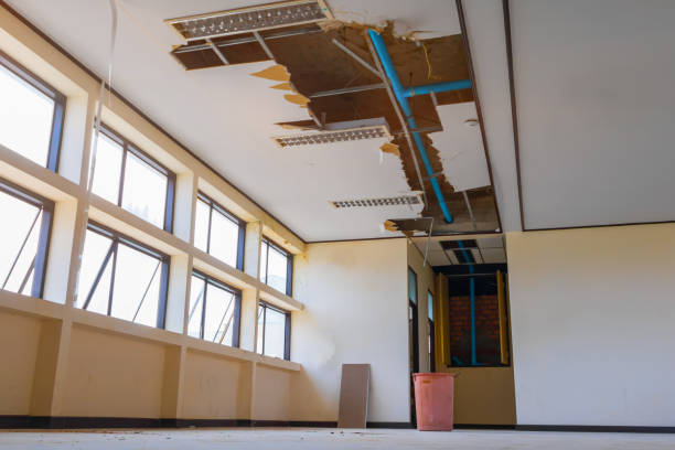Reliable Mendota, IL Water damage restoration Solutions