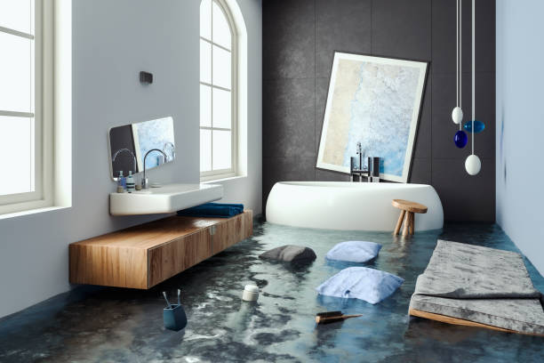 Best Water damage restoration near me  in Mendota, IL