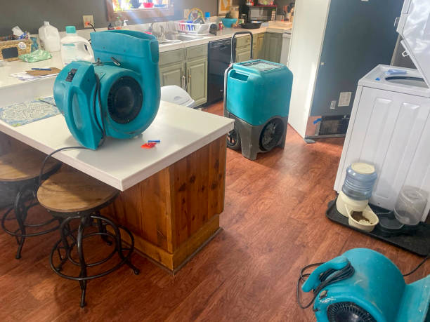 Best Ceiling water damage repair  in Mendota, IL