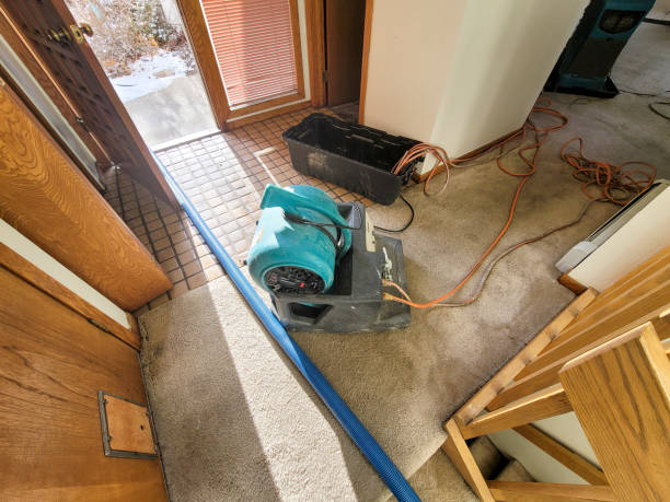 Best Flooded house restoration  in Mendota, IL