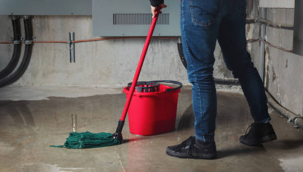 Best Flood damage cleanup  in Mendota, IL