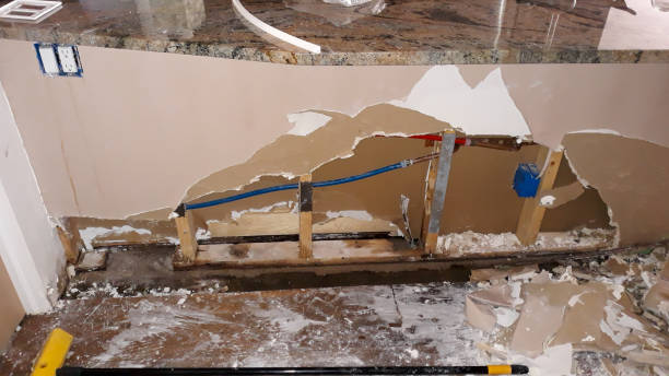 Best Emergency water damage restoration  in Mendota, IL