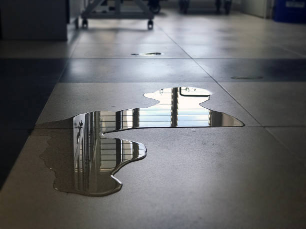 Best Water damage restoration near me  in Mendota, IL