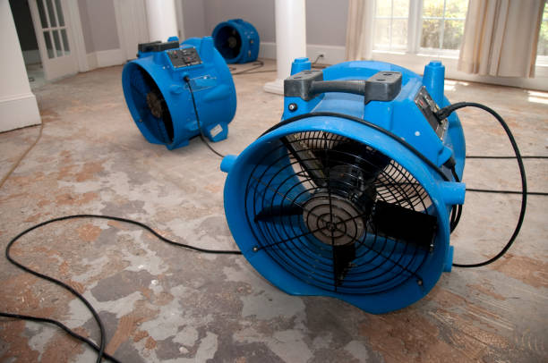 Best Fire Damage Restoration  in Mendota, IL