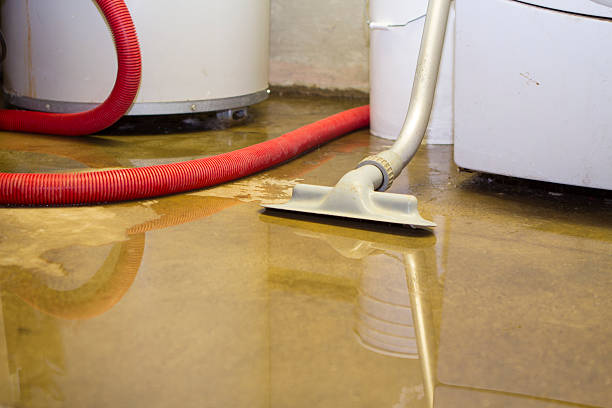 Best Carpet water damage restoration  in Mendota, IL