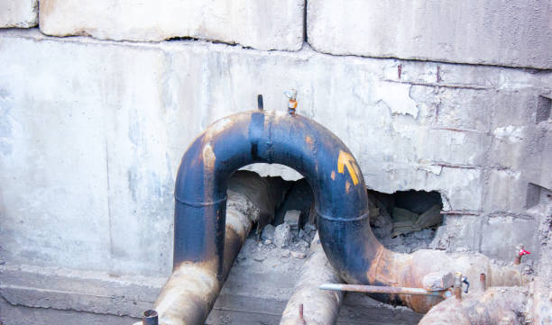 Best Basement water damage restoration  in Mendota, IL