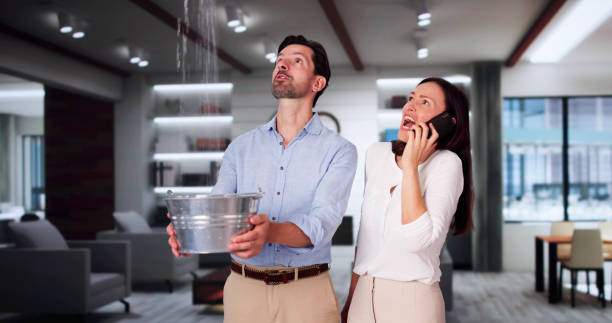 Water damage restoration experts in Mendota, IL
